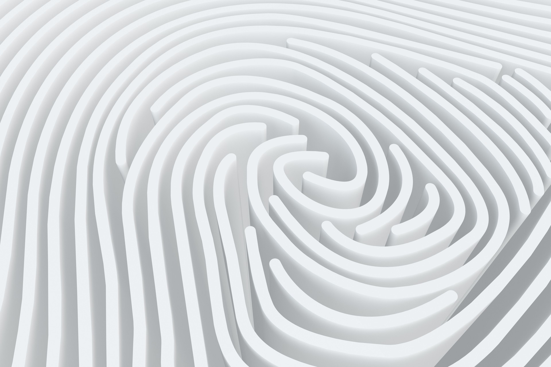 3D Fingerprint Maze 3D Fingerprint Maze